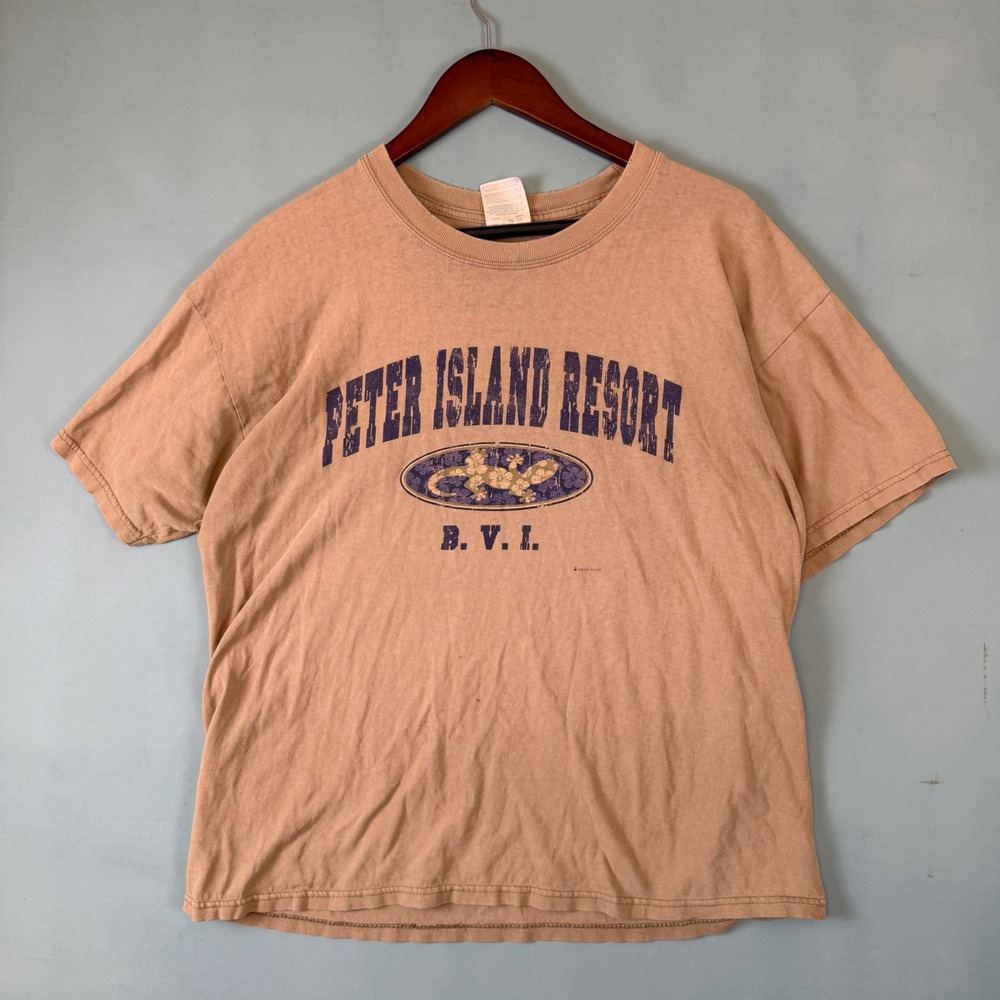 Vintage Y2K Faded Distressed Men's L Tan Beach Surf Graphic T-Shirt